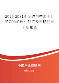 2025-2031年全球與中國(guó)小分子CDMO行業(yè)研究及市場(chǎng)前景分析報(bào)告