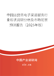中國運(yùn)營商電子渠道服務(wù)行業(yè)現(xiàn)狀調(diào)研分析及市場(chǎng)前景預(yù)測(cè)報(bào)告（2025年版）