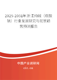 2025-2031年浙江純堿（碳酸鈉）行業(yè)發(fā)展研究與前景趨勢(shì)預(yù)測(cè)報(bào)告