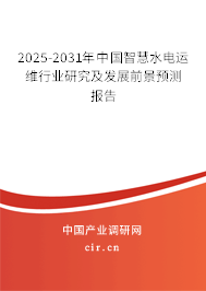 2025-2031年中國(guó)智慧水電運(yùn)維行業(yè)研究及發(fā)展前景預(yù)測(cè)報(bào)告