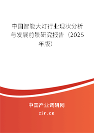 中國智能大燈行業(yè)現(xiàn)狀分析與發(fā)展前景研究報(bào)告（2025年版）