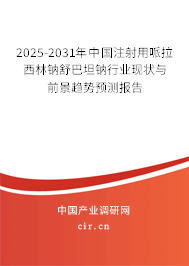 2025-2031年中國(guó)注射用哌拉西林鈉舒巴坦鈉行業(yè)現(xiàn)狀與前景趨勢(shì)預(yù)測(cè)報(bào)告
