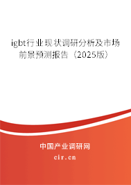 igbt行業(yè)現(xiàn)狀調(diào)研分析及市場(chǎng)前景預(yù)測(cè)報(bào)告（2025版）