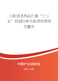 口腔清潔用品行業(yè)“十二五”規(guī)劃分析與投資前景研究報(bào)告