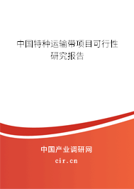 中國特種運(yùn)輸帶項(xiàng)目可行性研究報(bào)告