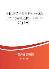 中國浙江電熨斗行業(yè)分析及投資戰(zhàn)略研究報告（2012-2016年）