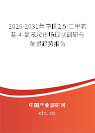2025-2031年中國(guó)2,5-二甲氧基-4-氯苯胺市場(chǎng)現(xiàn)狀調(diào)研與前景趨勢(shì)報(bào)告