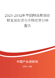 2025-2031年中國(guó)地震數(shù)據(jù)處理發(fā)展現(xiàn)狀與市場(chǎng)前景分析報(bào)告