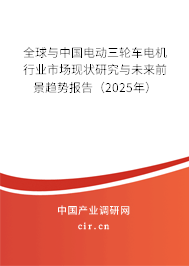 全球與中國(guó)電動(dòng)三輪車(chē)電機(jī)行業(yè)市場(chǎng)現(xiàn)狀研究與未來(lái)前景趨勢(shì)報(bào)告（2025年）