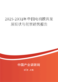 2025-2031年中國電機模具發(fā)展現(xiàn)狀與前景趨勢報告