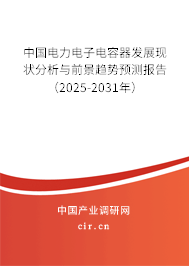 中國電力電子電容器發(fā)展現狀分析與前景趨勢預測報告（2025-2031年）