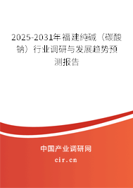 2025-2031年福建純堿（碳酸鈉）行業(yè)調(diào)研與發(fā)展趨勢預(yù)測報告