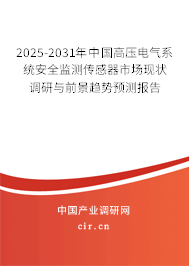 2025-2031年中國高壓電氣系統(tǒng)安全監(jiān)測傳感器市場現(xiàn)狀調研與前景趨勢預測報告