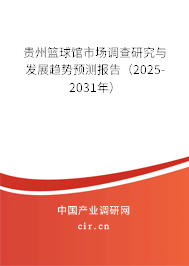 貴州籃球館市場調(diào)查研究與發(fā)展趨勢預(yù)測報告（2025-2031年）