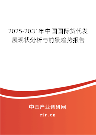 2025-2031年中國(guó)國(guó)際貨代發(fā)展現(xiàn)狀分析與前景趨勢(shì)報(bào)告