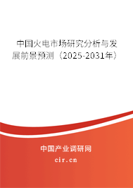 中國火電市場研究分析與發(fā)展前景預(yù)測（2025-2031年）