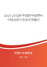 2025-2031年中國(guó)聚甲醛塑料市場(chǎng)調(diào)研與發(fā)展前景報(bào)告