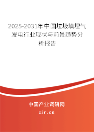 2025-2031年中國垃圾填埋氣發(fā)電行業(yè)現(xiàn)狀與前景趨勢分析報告