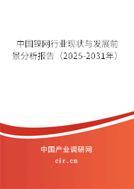 中國鎳網(wǎng)行業(yè)現(xiàn)狀與發(fā)展前景分析報告（2025-2031年）