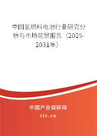 中國氫燃料電池行業(yè)研究分析與市場前景報告（2025-2031年）