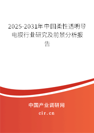 2025-2031年中國柔性透明導電膜行業(yè)研究及前景分析報告