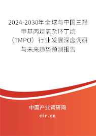 2024-2030年全球與中國三羥甲基丙烷氧雜環(huán)丁烷（TMPO）行業(yè)發(fā)展深度調(diào)研與未來趨勢預(yù)測報(bào)告