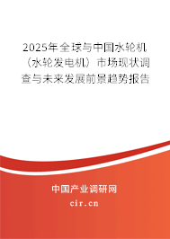 2025年全球與中國水輪機(jī)（水輪發(fā)電機(jī)）市場現(xiàn)狀調(diào)查與未來發(fā)展前景趨勢報(bào)告