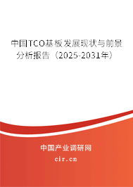 中國TCO基板發(fā)展現(xiàn)狀與前景分析報(bào)告（2025-2031年）