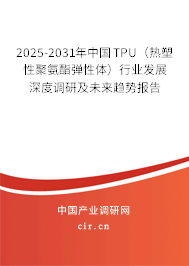 2025-2031年中國TPU（熱塑性聚氨酯彈性體）行業(yè)發(fā)展深度調研及未來趨勢報告
