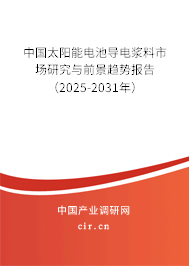 中國(guó)太陽能電池導(dǎo)電漿料市場(chǎng)研究與前景趨勢(shì)報(bào)告（2025-2031年）