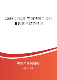 2025-2031年中國鐵鎳合金行業(yè)現狀與趨勢預測