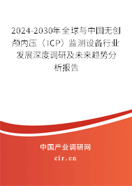 2024-2030年全球與中國無創(chuàng)顱內(nèi)壓（ICP）監(jiān)測設(shè)備行業(yè)發(fā)展深度調(diào)研及未來趨勢分析報(bào)告