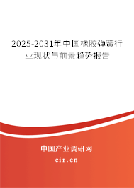 2025-2031年中國橡膠彈簧行業(yè)現(xiàn)狀與前景趨勢報告