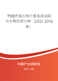 中國(guó)終端芯片行業(yè)發(fā)展調(diào)研與市場(chǎng)前景分析（2025-2031年）