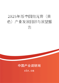 2025年版中國拋光膏（黃色）產(chǎn)業(yè)發(fā)展回顧與展望報告