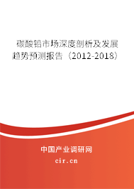 碳酸鉛市場(chǎng)深度剖析及發(fā)展趨勢(shì)預(yù)測(cè)報(bào)告（2012-2018）