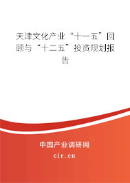 天津文化產(chǎn)業(yè)“十一五”回顧與“十二五”投資規(guī)劃報告