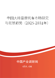 中國大排量摩托車市場研究與前景趨勢（2025-2031年）