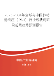 2025-2031年全球與中國肺動(dòng)脈高壓（PAH）行業(yè)現(xiàn)狀調(diào)研及前景趨勢(shì)預(yù)測(cè)報(bào)告