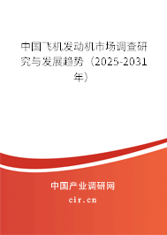 中國飛機發(fā)動機市場調(diào)查研究與發(fā)展趨勢（2025-2031年）