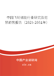 中國飛輪儲能行業(yè)研究及前景趨勢報告（2025-2031年）
