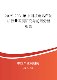 2025-2031年中國(guó)核電站汽輪機(jī)行業(yè)發(fā)展研究與前景分析報(bào)告