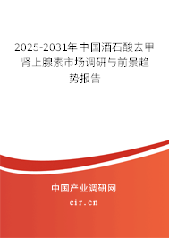 2025-2031年中國酒石酸去甲腎上腺素市場調(diào)研與前景趨勢報告