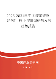 2025-2031年中國聚苯硫醚（PPS）行業(yè)深度調(diào)研與發(fā)展趨勢報(bào)告