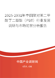 2025-2031年中國聚對苯二甲酸丁二醇酯（PBT）行業(yè)發(fā)展調(diào)研與市場前景分析報告