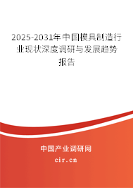 2025-2031年中國模具制造行業(yè)現(xiàn)狀深度調(diào)研與發(fā)展趨勢報告