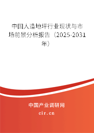 中國人造地坪行業(yè)現(xiàn)狀與市場前景分析報(bào)告（2025-2031年）