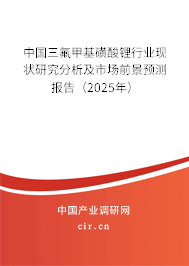 中國(guó)三氟甲基磺酸鋰行業(yè)現(xiàn)狀研究分析及市場(chǎng)前景預(yù)測(cè)報(bào)告（2025年）