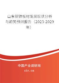 山東鋼鐵板材發(fā)展現(xiàn)狀分析與趨勢(shì)預(yù)測(cè)報(bào)告（2023-2029年）