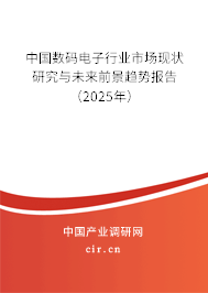中國數(shù)碼電子行業(yè)市場現(xiàn)狀研究與未來前景趨勢報告（2025年）